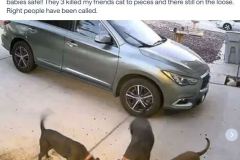 att1
